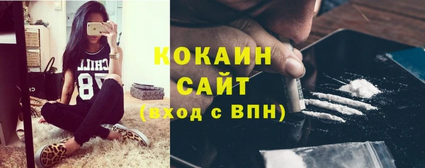 прущие крисы Надым