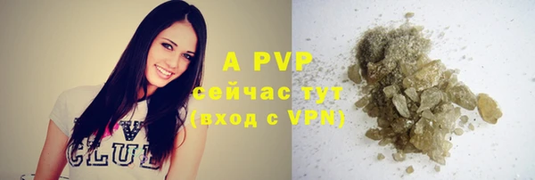 прущие крисы Надым