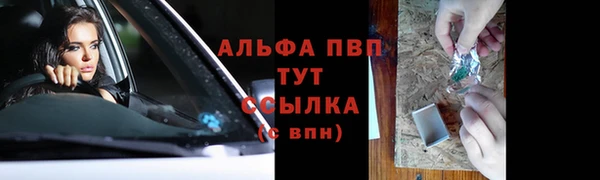 прущие грибы Михайловка
