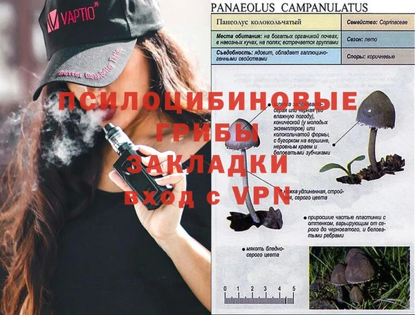 прущие крисы Надым