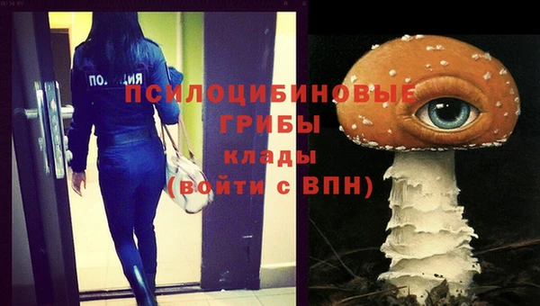 индика Нея