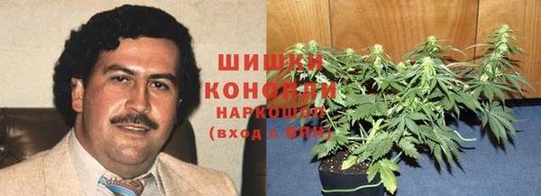 ECSTASY Покачи