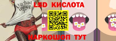 прущие грибы Кандалакша
