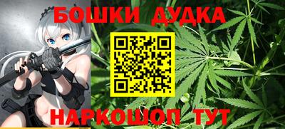 прущие грибы Кандалакша