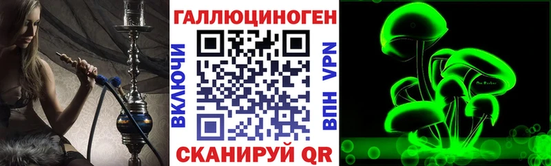 даркнет наркотические препараты  Нововоронеж  Псилоцибиновые грибы GOLDEN TEACHER 