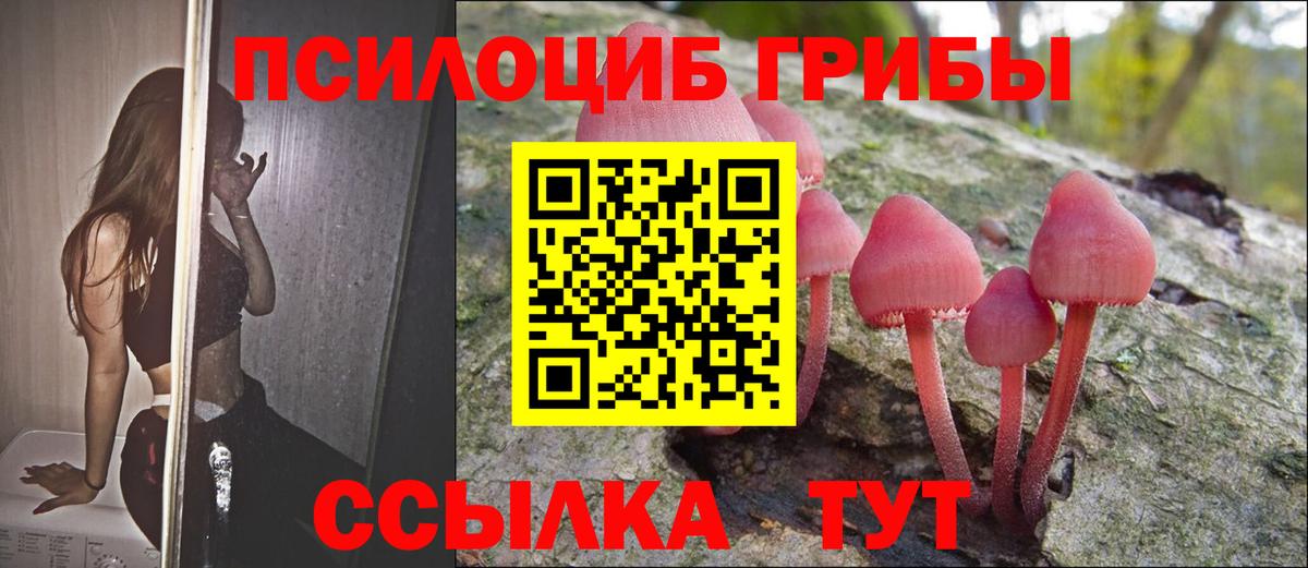 Псилоцибиновые грибы Psilocybine cubensis  Вход с VPN  Псилоцибиновые грибы прущие грибы  Нововоронеж 