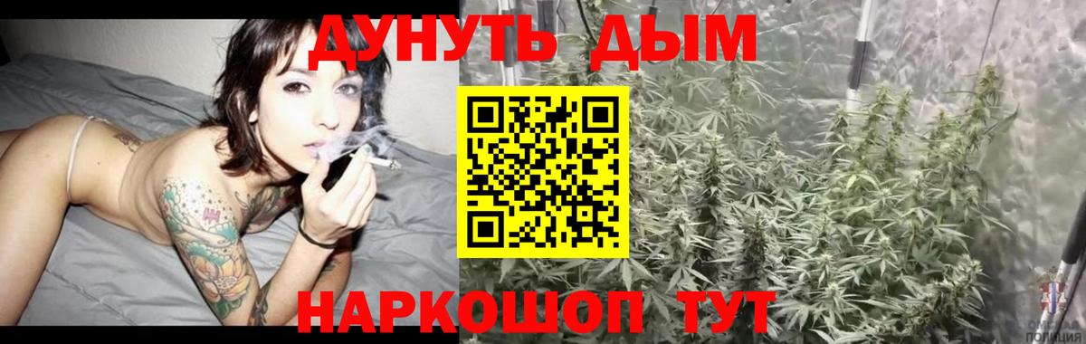 Шишки марихуана Amnesia  Бошки марихуана White Widow  Вход с VPN  Нововоронеж  Конопля индика 